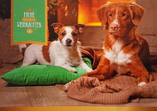 Adventskalender für Hunde Übersicht der 10 besten Kalender