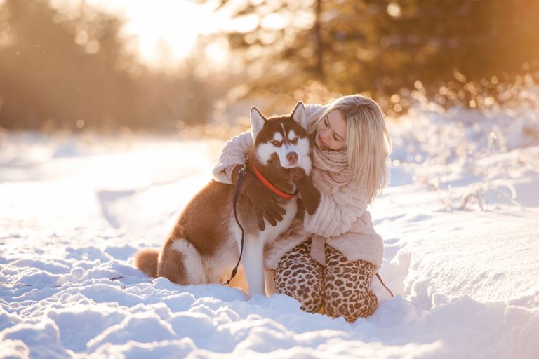 Silvester mit Hund - die besten Ziele für ein ruhiges Fest