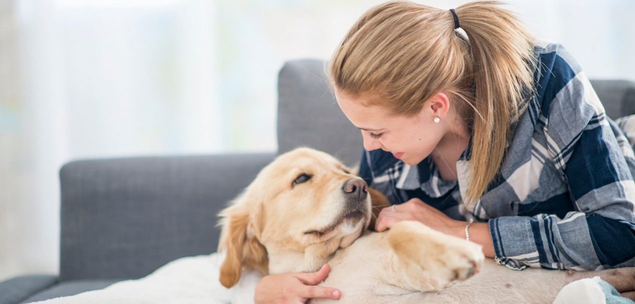 Hund halten: besten rund um Hundehaltung | Mein Haustier