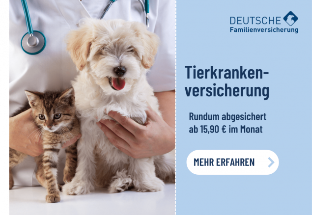 Tierversicherung - Hund Und Katze Für Notfälle Versichern